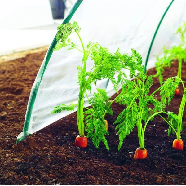 Kweekfolie / Tunnelfolie - 2 × 10 M - Image 2