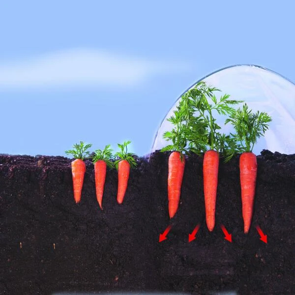 Kweekfolie / Tunnelfolie - 2 × 10 M - Image 3