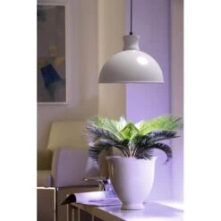 Groeilamp Led Florabooster 500 - 6,5W - Wit