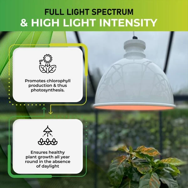 Groeilamp Led Florabooster 500 - 6,5W - Wit - Image 4