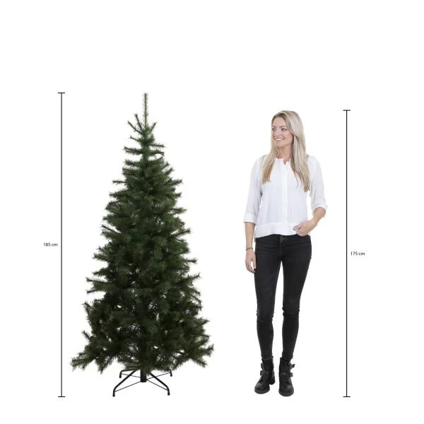 Kerstboom Forest Frosted 185 Cm Groen - Triumph Tree - Image 4