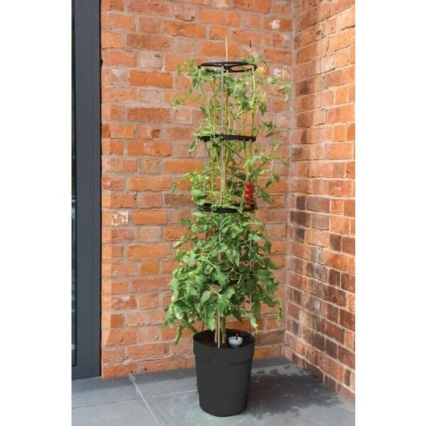 Tomatentoren 150 Cm Met Bewateringssysteem - Grijs - Image 2