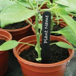 Plantenlabels Zwart Kunststof - 15 Cm - Set Van 50 Stuks