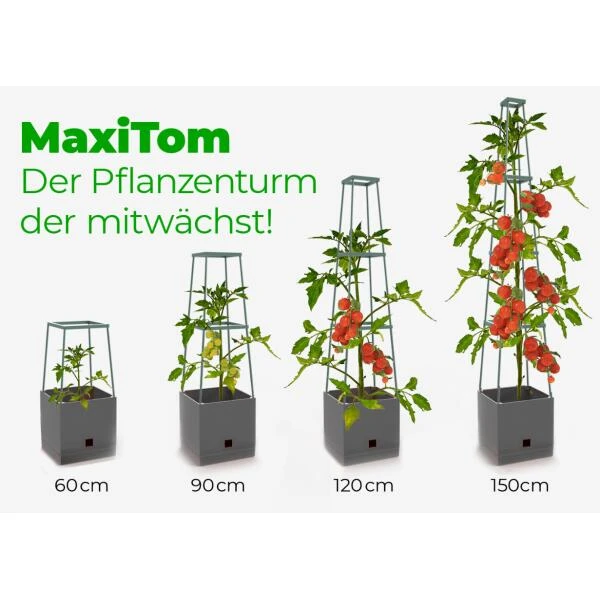 Plantentoren Maxitom Met Waterreservoir - Antraciet - Image 4
